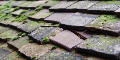 Slough roof repair costs
